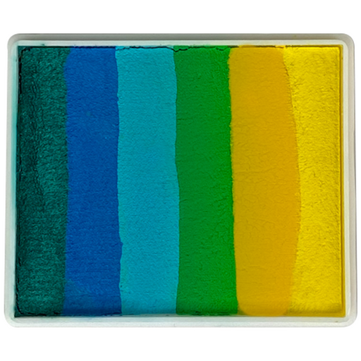 Smiling Parrot rainbow cake Face paint  DFX